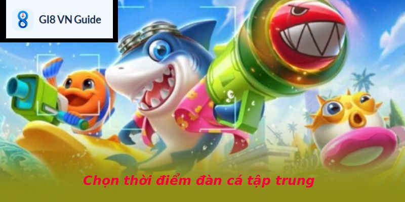 Chọn thời điểm đàn cá tập trung