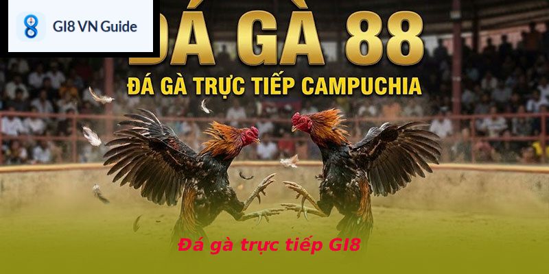 Đá gà trực tiếp GI8