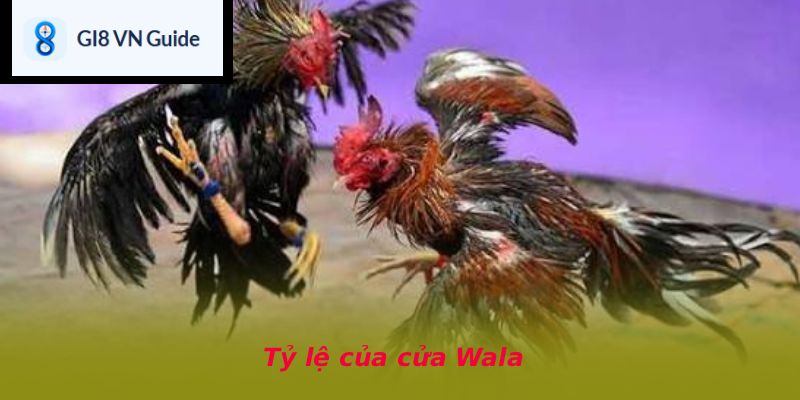 Tỷ lệ của cửa Wala