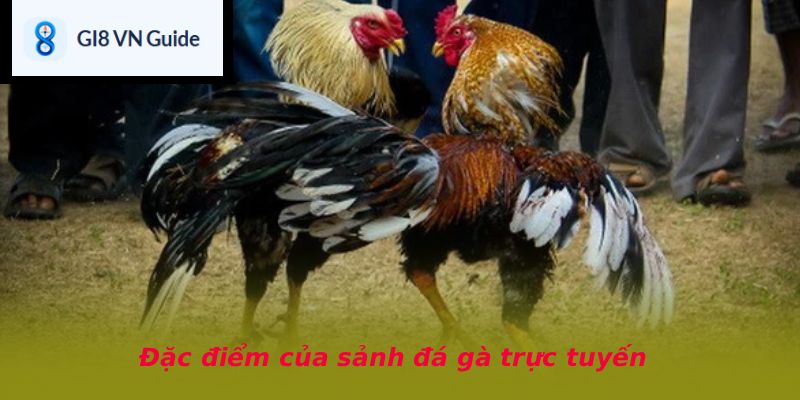 Đặc điểm của sảnh đá gà trực tuyến