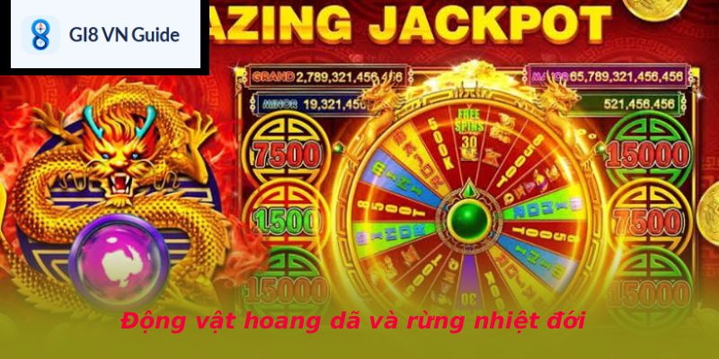 Động vật hoang dã và rừng nhiệt đới