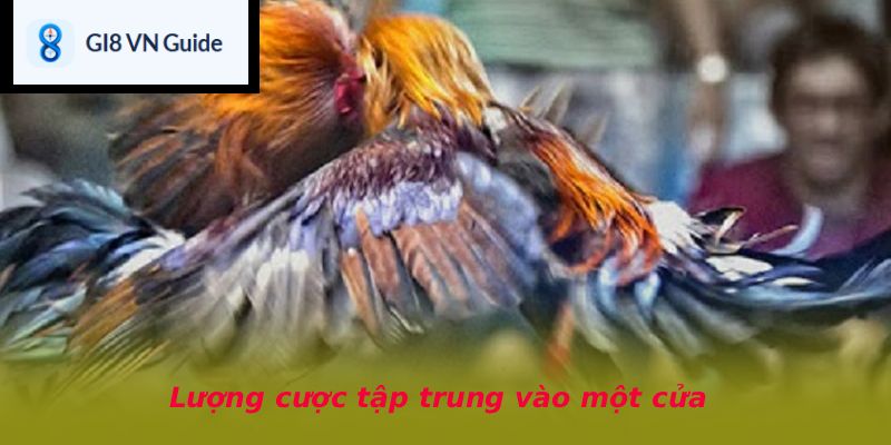Lượng cược tập trung vào một cửa